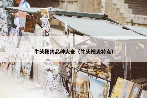 牛头梗狗品种大全（牛头梗犬特点）