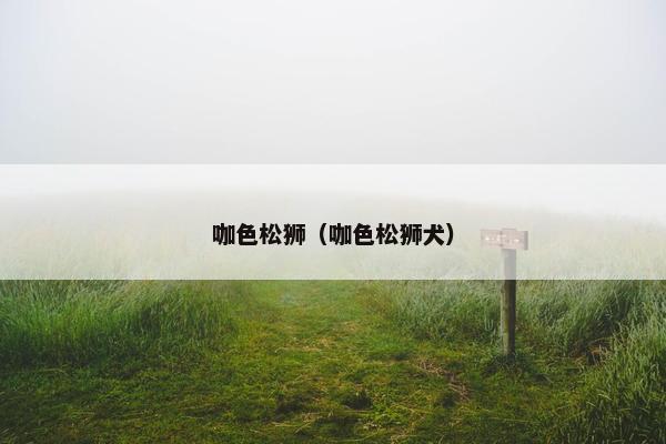 咖色松狮（咖色松狮犬）