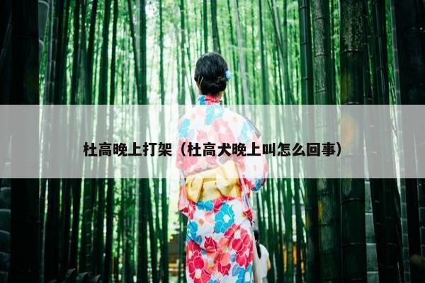 杜高晚上打架（杜高犬晚上叫怎么回事）