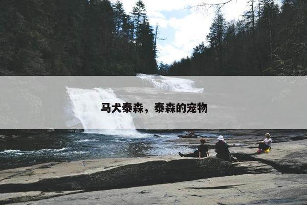 马犬泰森，泰森的宠物