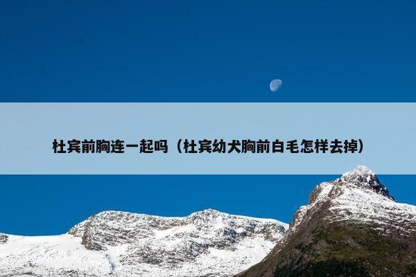 杜宾前胸连一起吗（杜宾幼犬胸前白毛怎样去掉）