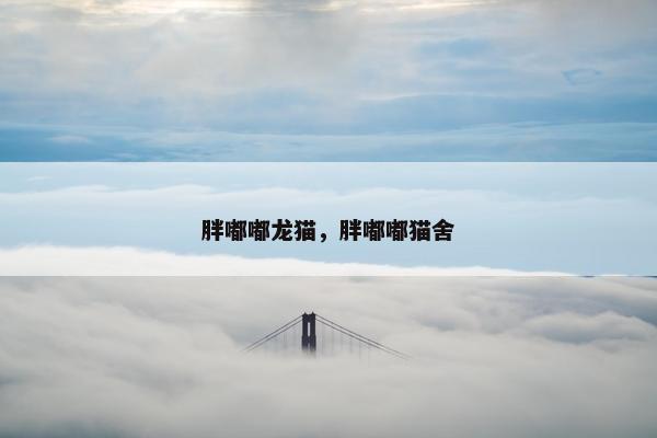 胖嘟嘟龙猫，胖嘟嘟猫舍