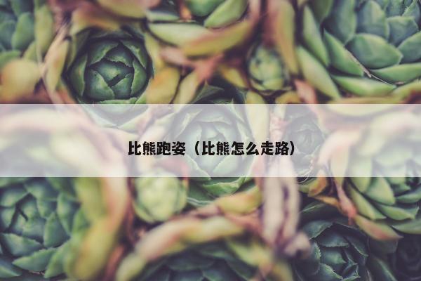 比熊跑姿（比熊怎么走路）