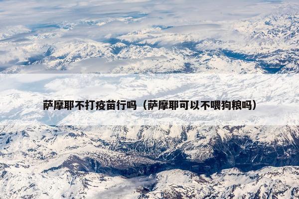 萨摩耶不打疫苗行吗（萨摩耶可以不喂狗粮吗）