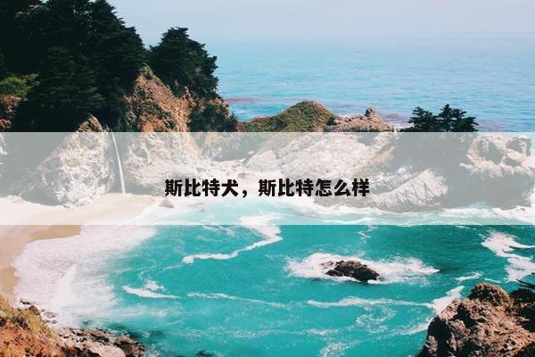 斯比特犬，斯比特怎么样