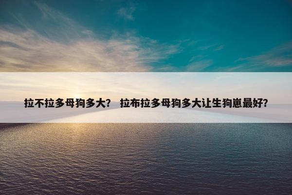 拉不拉多母狗多大？ 拉布拉多母狗多大让生狗崽最好？