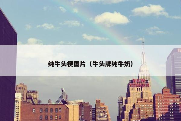 纯牛头梗图片（牛头牌纯牛奶）