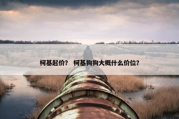 柯基起价？ 柯基狗狗大概什么价位？