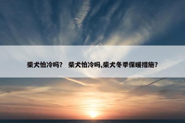 柴犬怕冷吗？ 柴犬怕冷吗,柴犬冬季保暖措施？