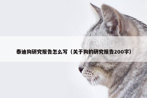 泰迪狗研究报告怎么写（关于狗的研究报告200字）
