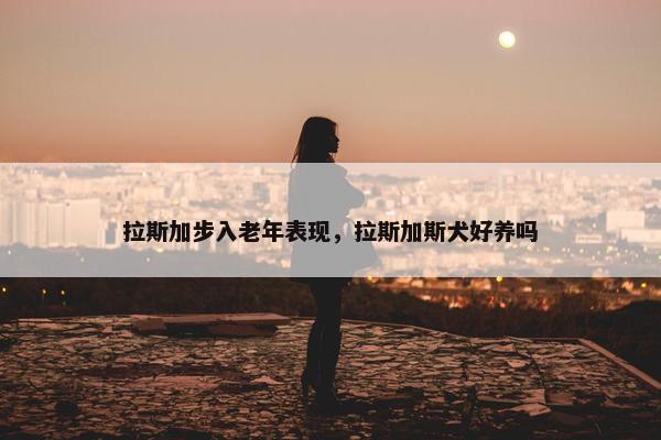 拉斯加步入老年表现，拉斯加斯犬好养吗