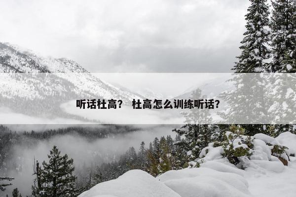 听话杜高？ 杜高怎么训练听话？
