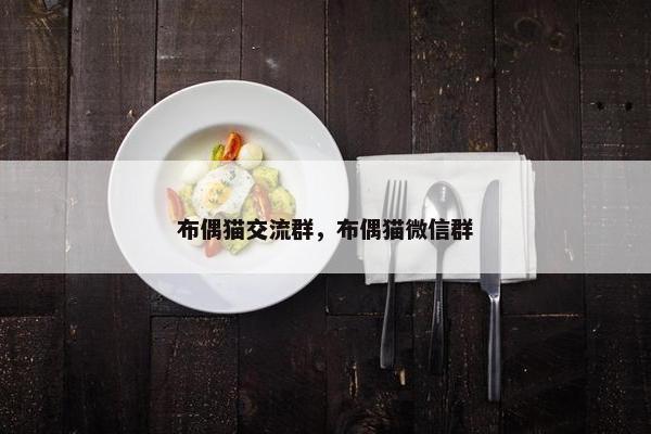 布偶猫交流群，布偶猫微信群