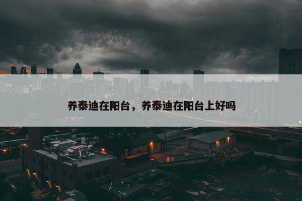 养泰迪在阳台，养泰迪在阳台上好吗