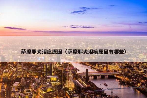 萨摩耶犬泪痕原因（萨摩耶犬泪痕原因有哪些）
