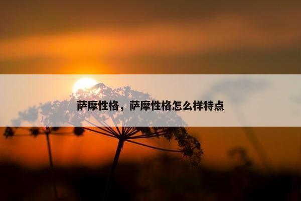 萨摩性格，萨摩性格怎么样特点