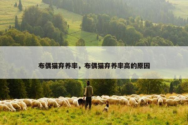 布偶猫弃养率，布偶猫弃养率高的原因