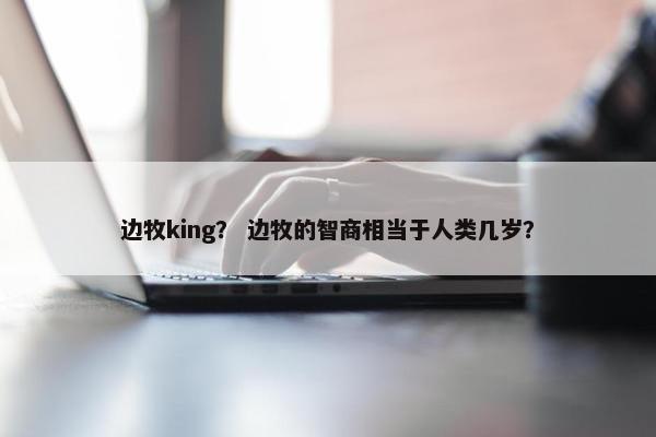 边牧king？ 边牧的智商相当于人类几岁？