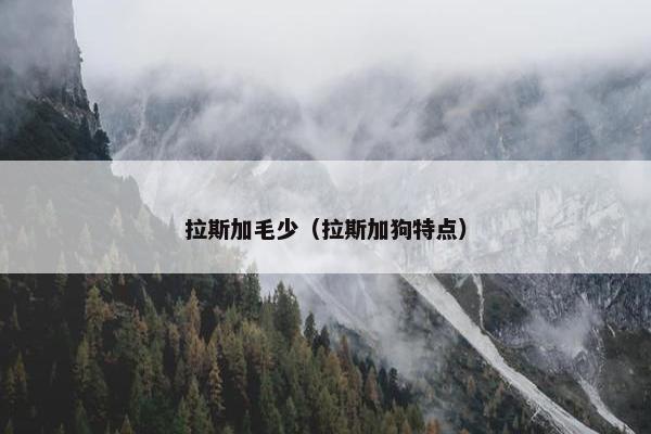 拉斯加毛少（拉斯加狗特点）