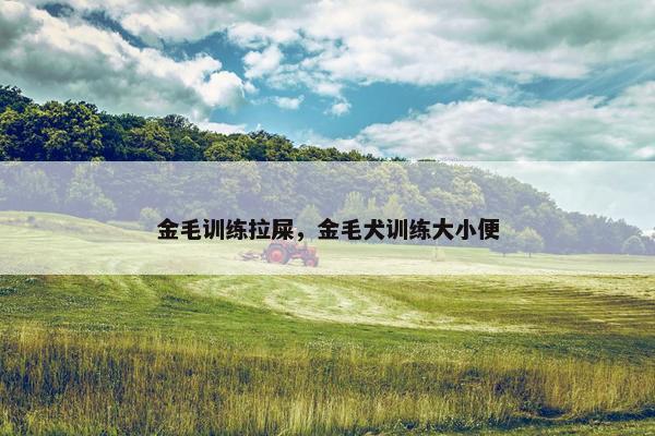 金毛训练拉屎，金毛犬训练大小便