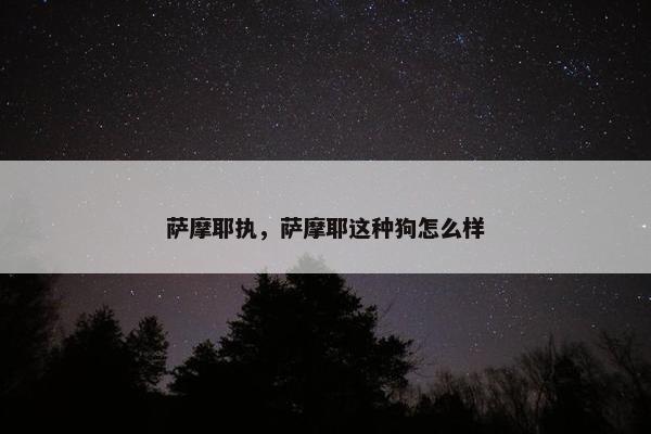 萨摩耶执，萨摩耶这种狗怎么样
