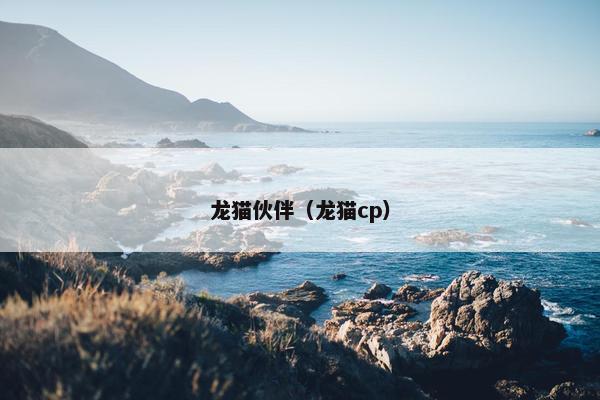 龙猫伙伴（龙猫cp）
