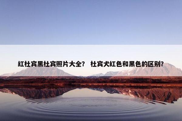 红杜宾黑杜宾照片大全？ 杜宾犬红色和黑色的区别？