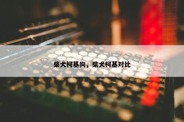 柴犬柯基狗，柴犬柯基对比