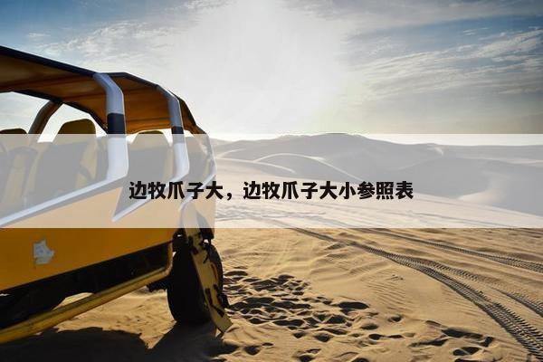 边牧爪子大，边牧爪子大小参照表
