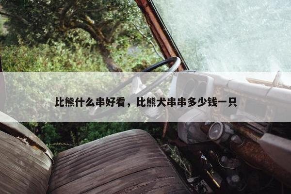比熊什么串好看，比熊犬串串多少钱一只