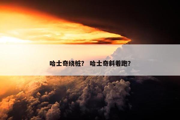 哈士奇绕桩？ 哈士奇斜着跑？