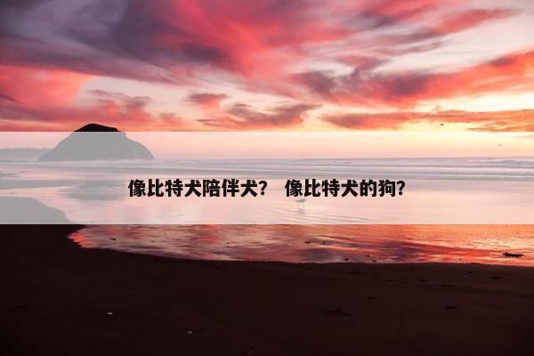 像比特犬陪伴犬？ 像比特犬的狗？