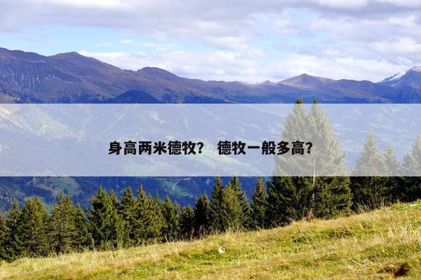 身高两米德牧？ 德牧一般多高？
