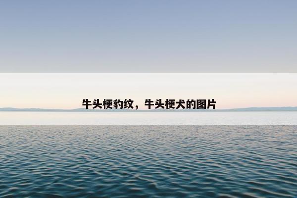 牛头梗豹纹，牛头梗犬的图片