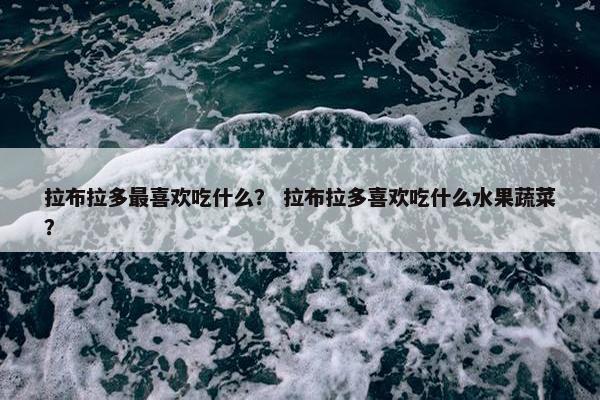 拉布拉多最喜欢吃什么？ 拉布拉多喜欢吃什么水果蔬菜？