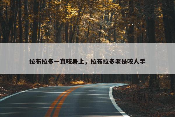 拉布拉多一直咬身上，拉布拉多老是咬人手
