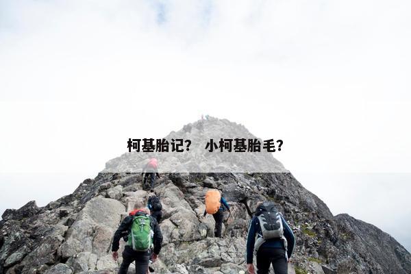 柯基胎记？ 小柯基胎毛？