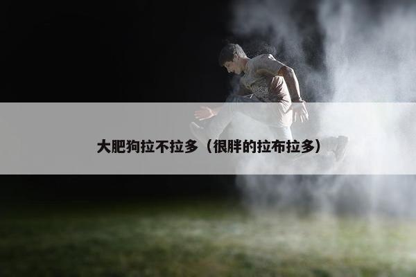 大肥狗拉不拉多（很胖的拉布拉多）