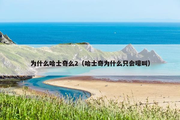 为什么哈士奇么2（哈士奇为什么只会嚎叫）