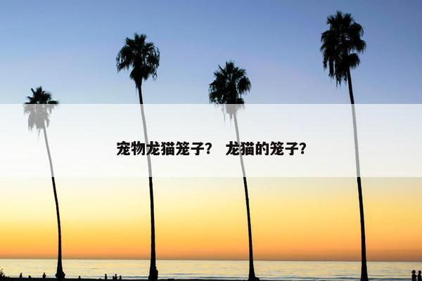 宠物龙猫笼子？ 龙猫的笼子？