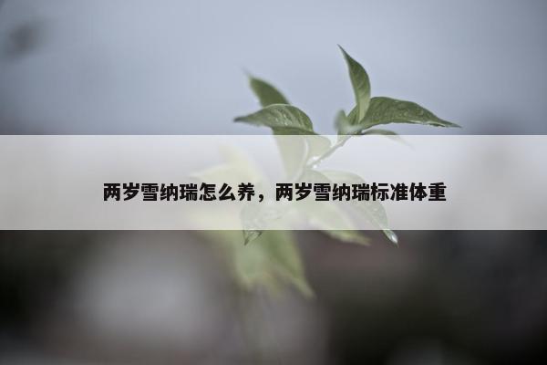 两岁雪纳瑞怎么养，两岁雪纳瑞标准体重