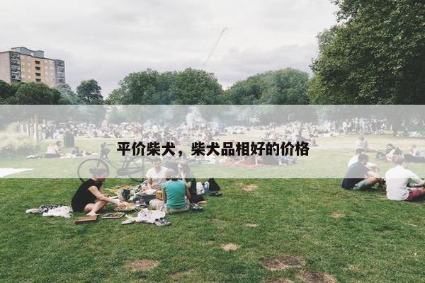 平价柴犬，柴犬品相好的价格