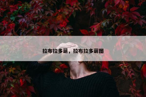 拉布拉多萌，拉布拉多萌图