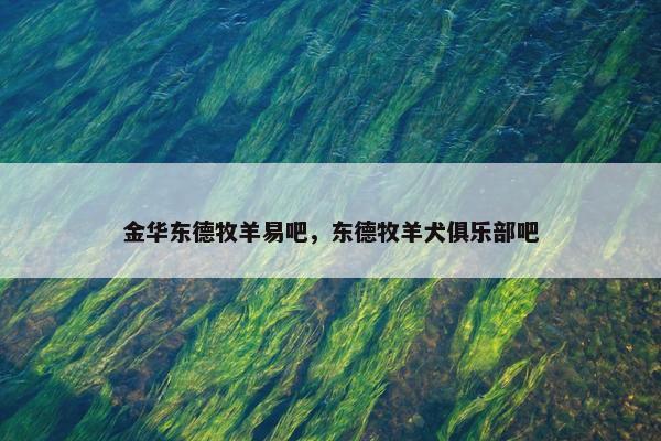 金华东德牧羊易吧，东德牧羊犬俱乐部吧