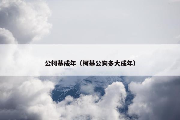 公柯基成年（柯基公狗多大成年）