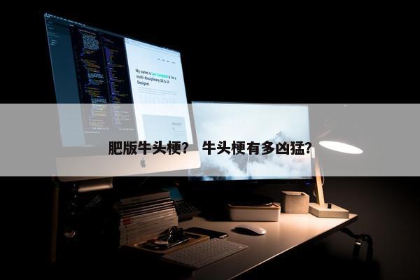 肥版牛头梗？ 牛头梗有多凶猛？