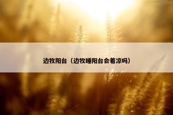 边牧阳台（边牧睡阳台会着凉吗）