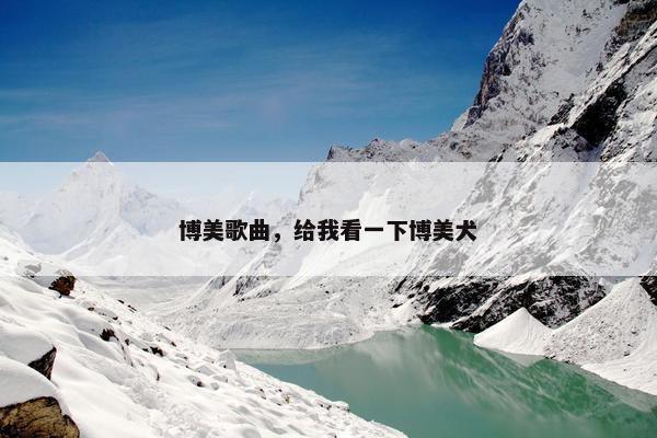 博美歌曲，给我看一下博美犬