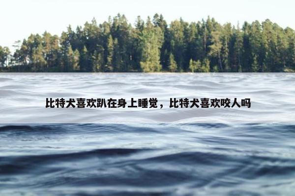 比特犬喜欢趴在身上睡觉，比特犬喜欢咬人吗