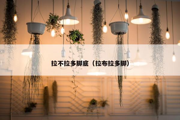 拉不拉多脚底（拉布拉多脚）